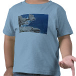 formentor shirt