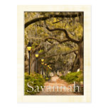 Forsyth Park - Savanne, GA Postkarten