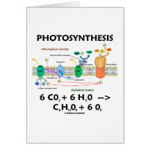 Fotosynthese (Kohlendioxyd + Wasser) Karte