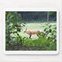 foxmom1 mousepad