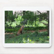 foxmom8 mauspads