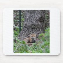 foxn mousepads