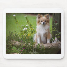 Foxy Hund Mauspad