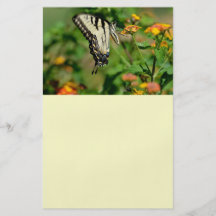 Frack-Schmetterling Flyerbedruckung