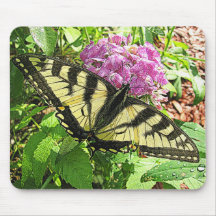 Frack-Schmetterling Mauspads