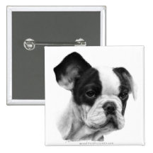 Französische Bulldogge Anstecknadelbuttons