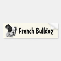 Französische Bulldogge Autosticker