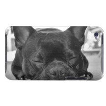 Französische Bulldogge iTouch Fall iPod Touch Hüllen
