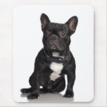 Französische Bulldogge Mauspad