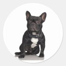Französische Bulldogge Runde Sticker