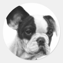Französische Bulldogge Stickers