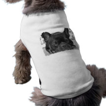 Französische Bulldoggen-Hundehemd Hunde Shirt