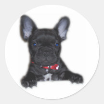 Französische Bulldoggen-Welpe Runder Sticker
