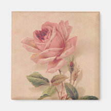 Französische viktorianische rosa Rose Magnets