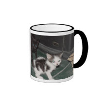 Freche Katzen Kaffeetassen