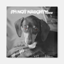 Frecher weiner Hund Magnete