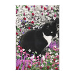 Freckles in den Blumen II - Tuxedokitty-Katze Leinwand Drucke
