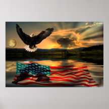 Freedom-Eagle-W-Flag-2010 Plakate