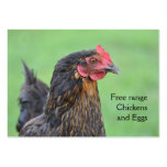 Freies Streckenhuhn eggs Visitenkarte