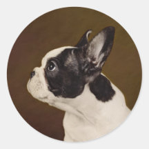 Frenchie Sticker