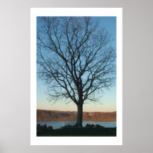Frieden Plakat