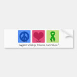 FriedensLiebe-Heilungs-Nieren-Krankheit Auto Sticker