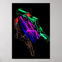 Froggy die Esterase Poster