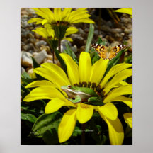 FroggyFlowerbed Posterdrucke