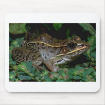 frogleopard2 mousepads