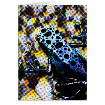 FrogPenguin Karte