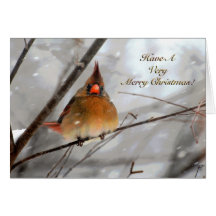 Frohe Weihnacht-Kardinal - Weihnachtskarte