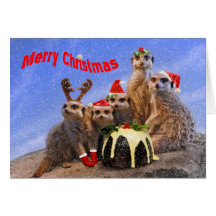 Fröhliche Meerkats Weihnachtskarte