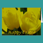 Fröhliche Ostern karten