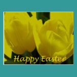 Fröhliche Ostern postkarten