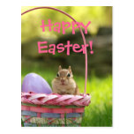 Fröhliche Ostern wenig Chipmunk 2 Postkarte