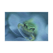 Frosch 1 dehnte Leinwand-Druck aus Leinwand Druck