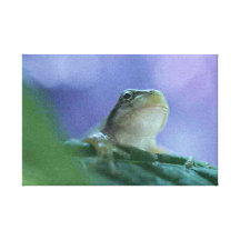 Frosch 2 dehnte Leinwand-Druck aus Galerie Falt Leinwand