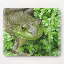 Frosch auf Sumpf-Mausunterlage Mousepads