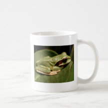Frosch-Becher Kaffeehaferl