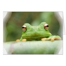Frosch mustert Gruß-Karte