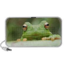 Frosch mustert Lautsprecher