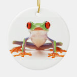 Frosch Ornament