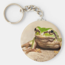 FROSCH SCHLÜSSELBÄNDER