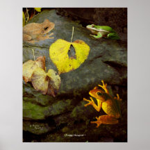 Frosch-Treffpunkt-Plakat