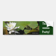 Frosch-Wasser-Lilien-Bestätigungs-Natur-Autoaufkle