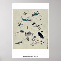 Frösche, Schnecken und Insekten Plakatdrucke