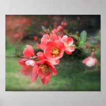 Frühling 01 plakate