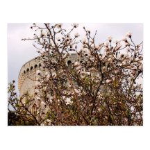 Frühling Postkarten