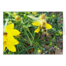 Frühlings-Bienen Karte