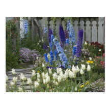 Frühlings-Blumen entlang einem Gartenweg, Georgia Postkarte